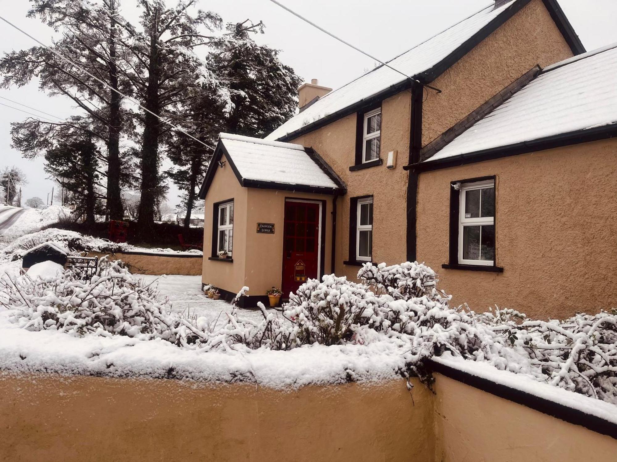 Daffodil Lodge Sligo Buitenkant foto